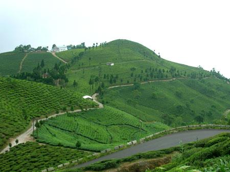 Mirik Hill Station