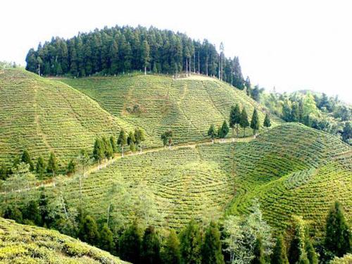 Mirik Hill Station