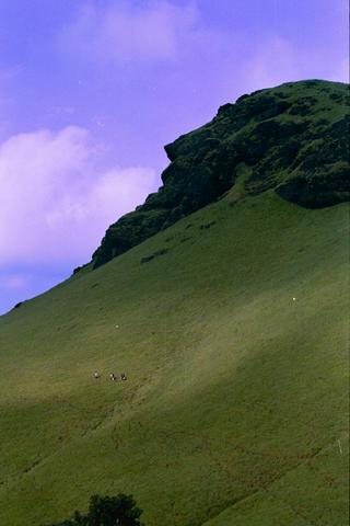 The Horse Faced Peak