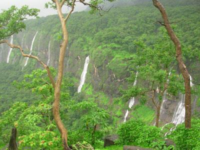 Bhimashankar Forest