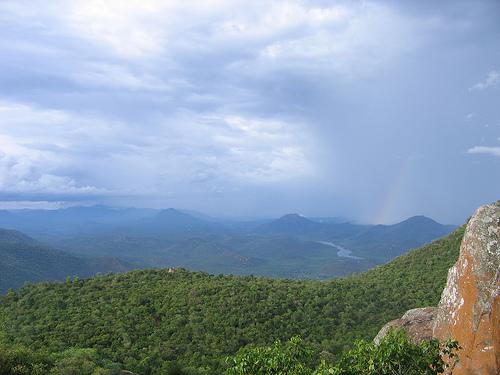 M.M. Hills situated in the Kollegal ranges