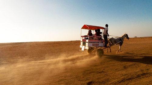 Horse drawn Cart of Panchgani tableland