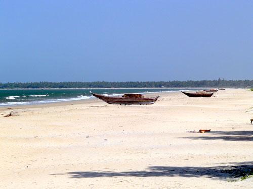 Tarkarli Beach