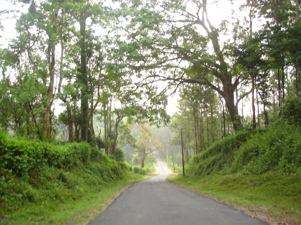 Nagarhole to Bandipur