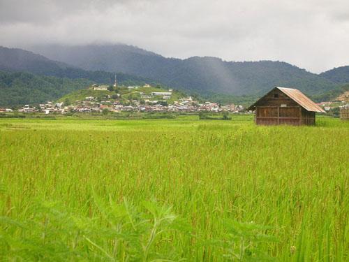 Apatani rice plains at Ziro
