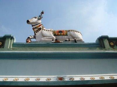 cow image bheemeshwari temple