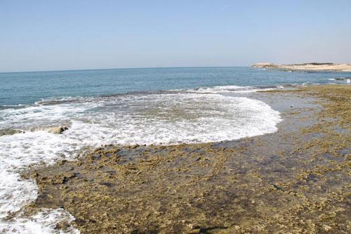 Somnath Chorwad Beach