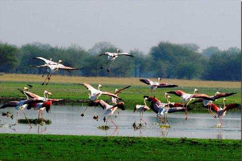 Ahmedabad-Mehsana