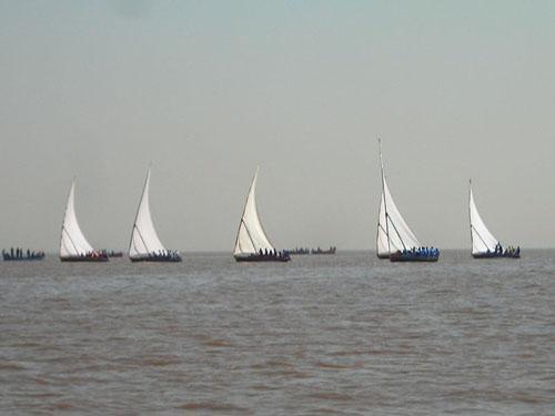 Magdalla boat race