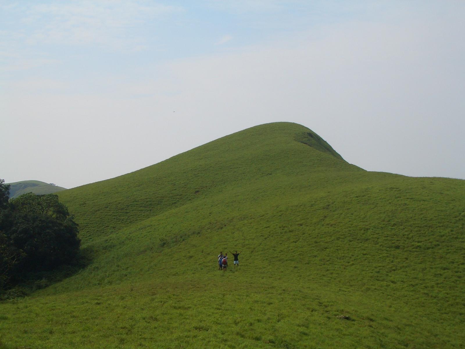  Bandajje Hornadu Sringer