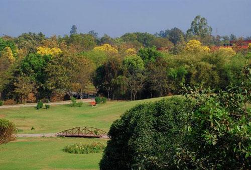 Cactus Garden Panchkula