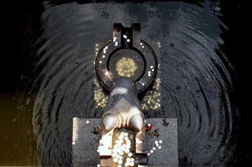 Pilgrims throw coins into the tank and make a wish