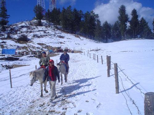 Snow Kufri Himachal