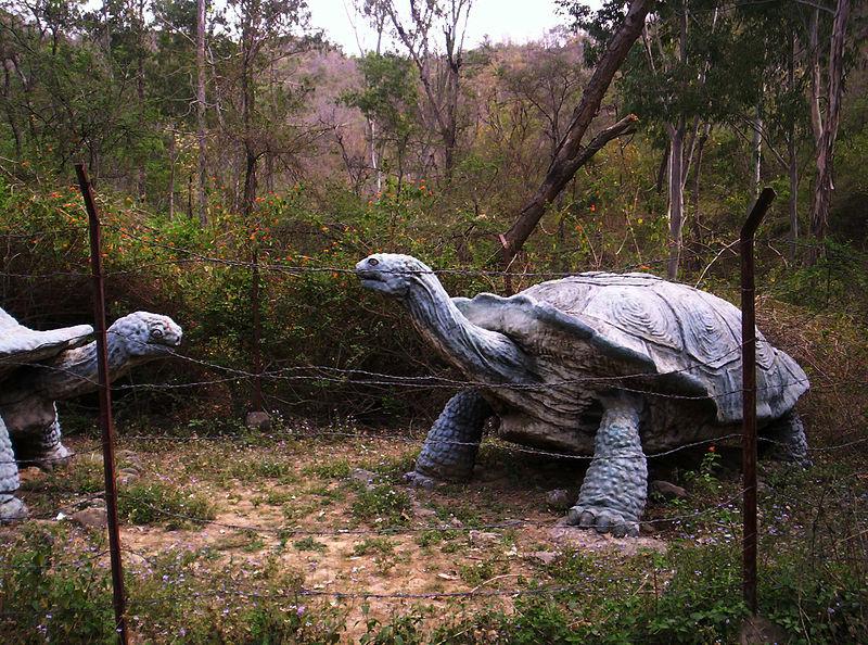 Giant Turtle Siwalik Hills