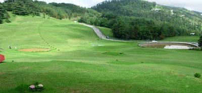 Golf course naldehra