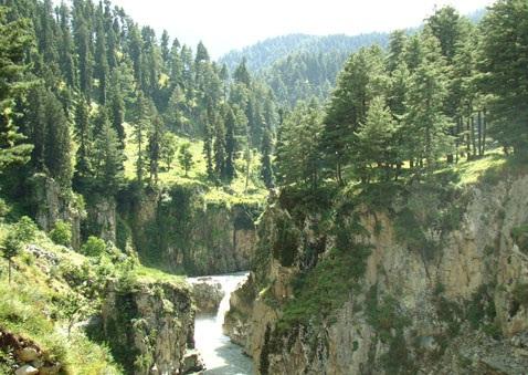 Aharbal Waterfalls