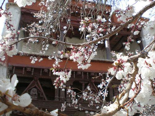 Alchi Monastery  Ladakh