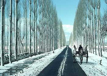 Gulmarg road kashmir