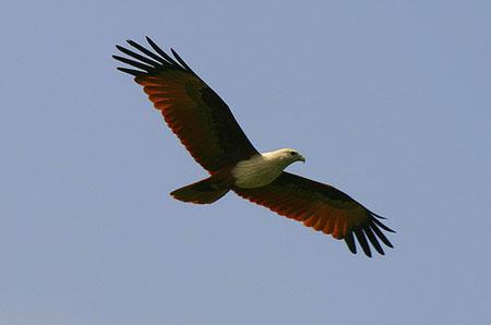 Hemis National Park