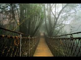 Hanging Bridge at Vythiri Resort