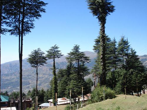 Patnitop Hill