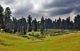 Yusmarg-Kashmir