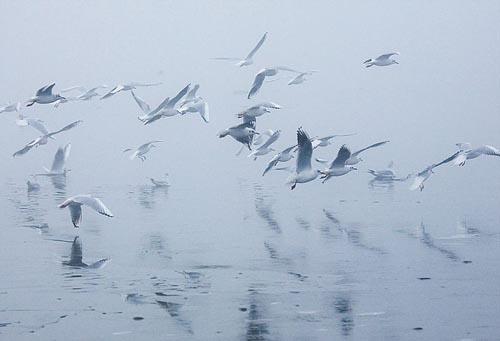 Chilika Lake