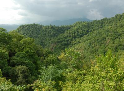 Pathankot Forest Area