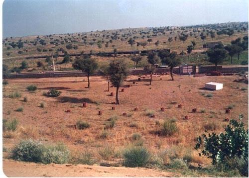 A view of the desert near Churu