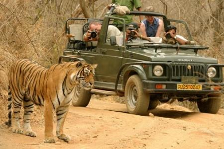 Ranthambore National Park