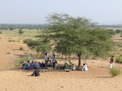 Shekhawati Camel Trip Lunch in the Desert