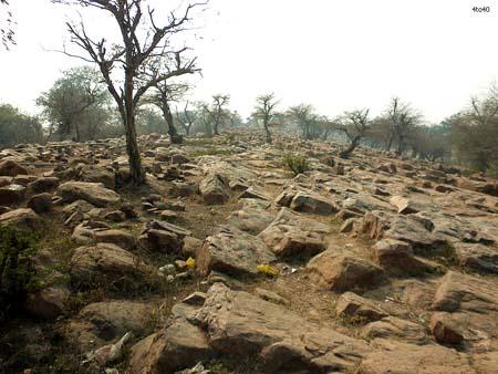 Govardhan Parvat