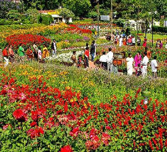 Bryant Park In Kodaiakanal