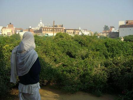 Sevakunja in Vrindavan.