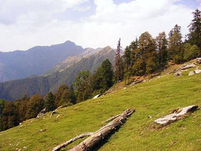 View from Grassland(Bugyal) on the Chopta Tungnath Trek