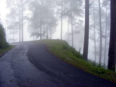 Snow capped mountains view from Chopta-Tungnath Trek