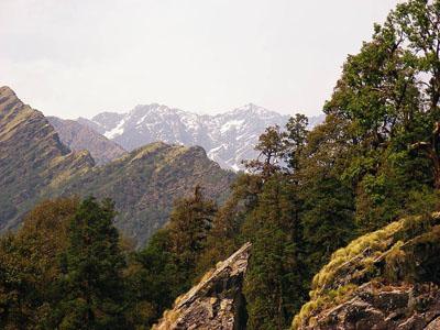 Chopta ,Starting Point for Tungnath & Chandrashila Trek