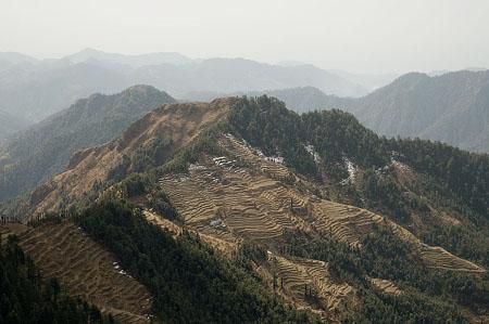 Terrace fields near Dhanaulti