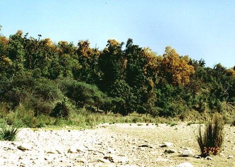 Rajaji National Park