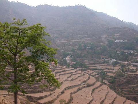 Ranikhet