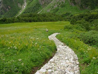 Valley of flowers uttaranchal full view