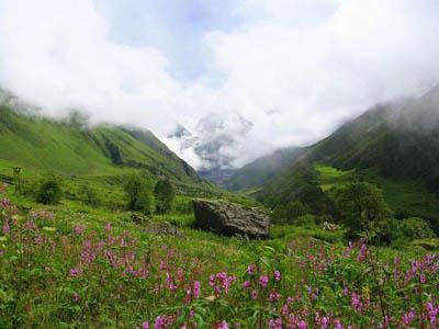 Valley of flowers uttaranchal full view