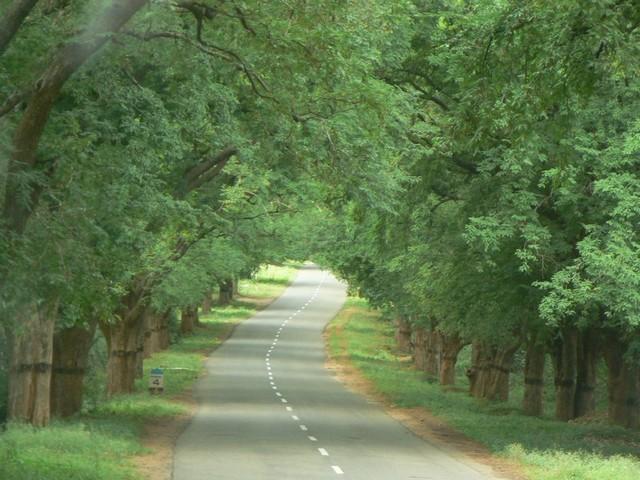 Beautiful Winding Roads