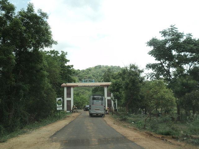 Anamalai Tiger Reserve Pollachi