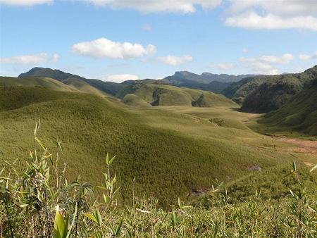 The Dzukou Valley