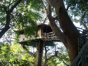 Dandeli Wild Life
