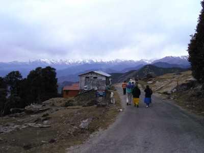 Chopta Valley