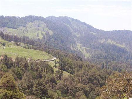 Chopta Valley