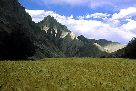 Sikiim Yumthang Valley