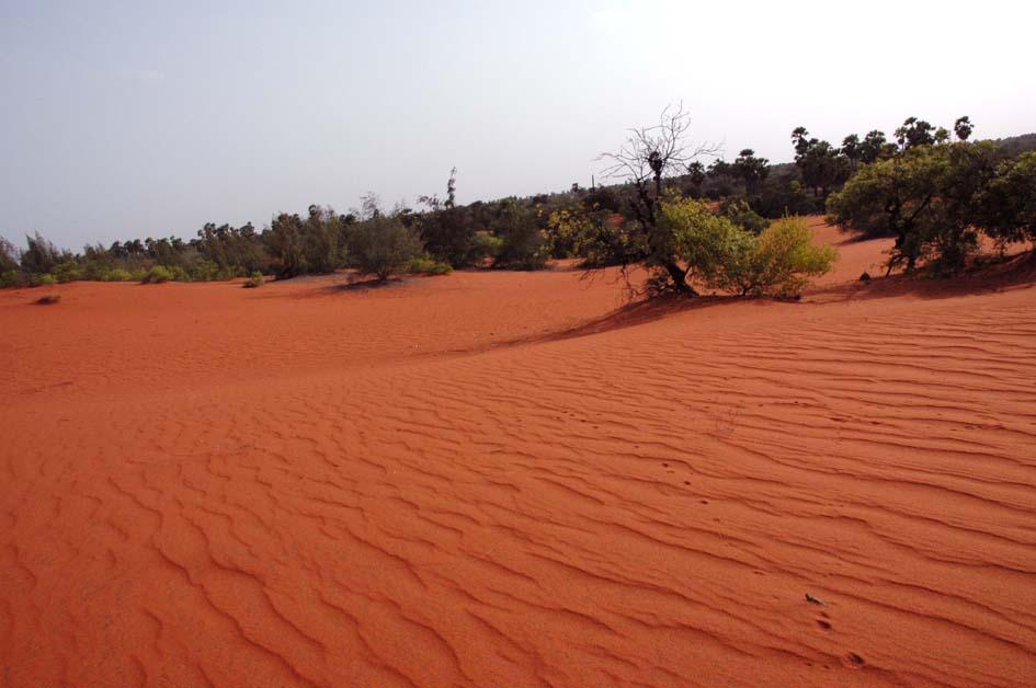 Theri soil at tuticorin